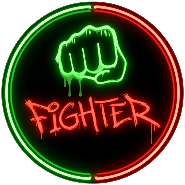 Fighter